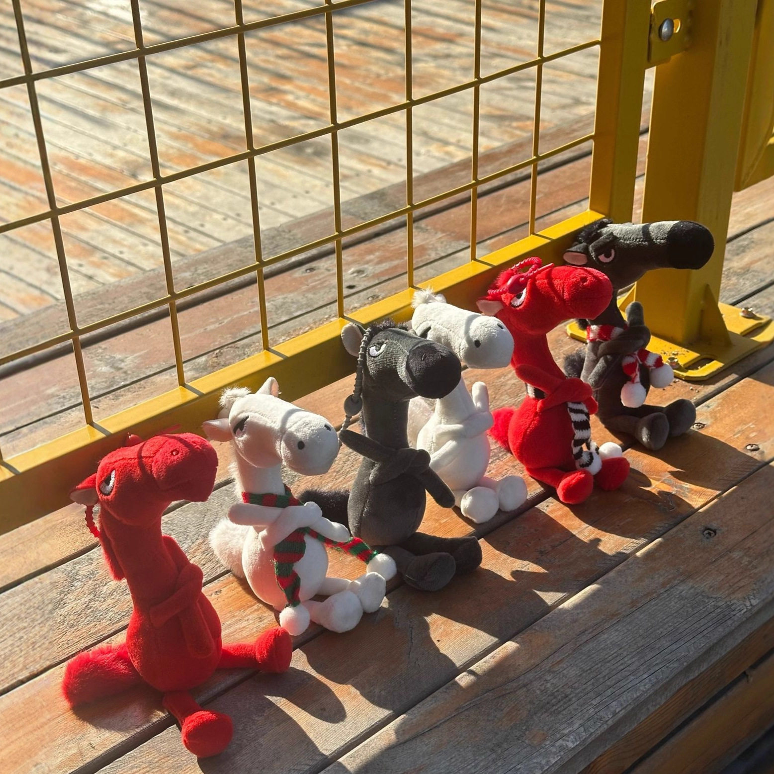 天选黑马2026年马年吉祥物玩具挂饰小马玩偶公仔独特设计娃娃送礼,节庆用品/礼品,挂饰/生肖挂饰,淘宝优惠券,粉丝福利购,淘宝优惠卷