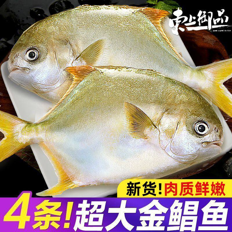 东上御品深海金鲳鱼4条超大鲳鱼新鲜冷冻金昌鱼青岛海鲜水产批发