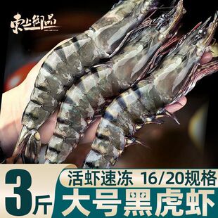 东上御品黑虎虾大号新鲜速冻老虎虾九节虾斑节虾对虾一整箱批发