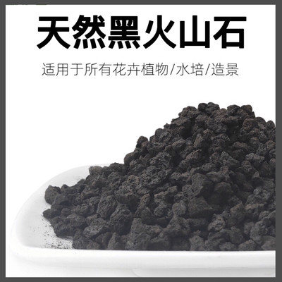 天然黑火山石颗粒黑色多肉铺面石 淘宝天猫优惠券折扣 天然黑火山石颗粒黑色多肉铺面石相关商品大全价格图片搜索赛选 综合排行榜