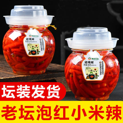 正宗四川泡红小米辣椒泡菜白菜重庆萝卜大蒜新鲜腌制即食下饭菜