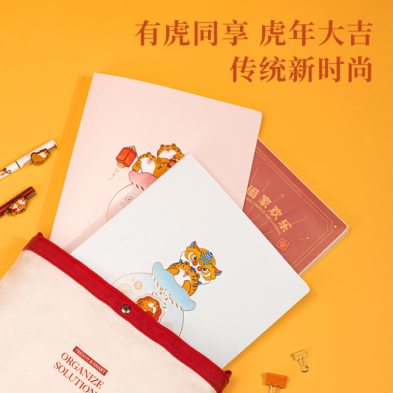 DELI YOUHU 공유 정보 소책자 A4 삽입 작은 신선한 투명 삽입 시험지 보관 가방 학생용 사무실 사용