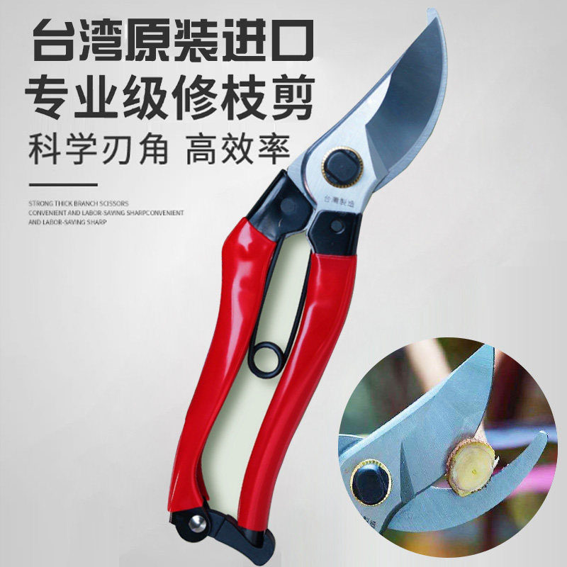 台湾进口修剪树枝园艺剪刀修枝剪园林花卉果树花艺嫁接专用剪子