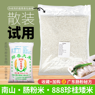 广东石磨肠粉专用南山阳春大米888珍桂矮试用散装商用河粉早老米