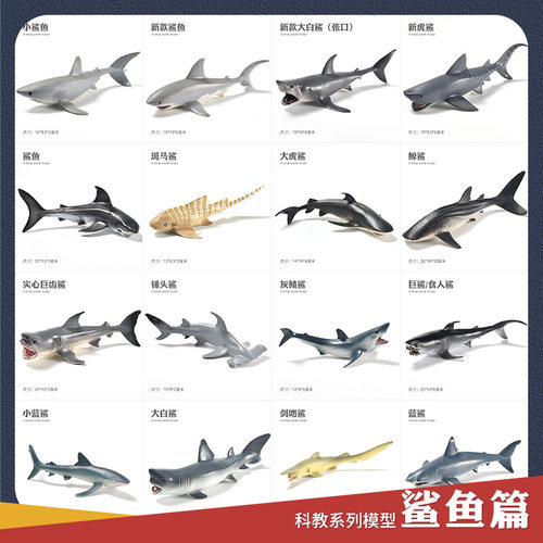儿童仿真海底食人蓝鲨玩具模型