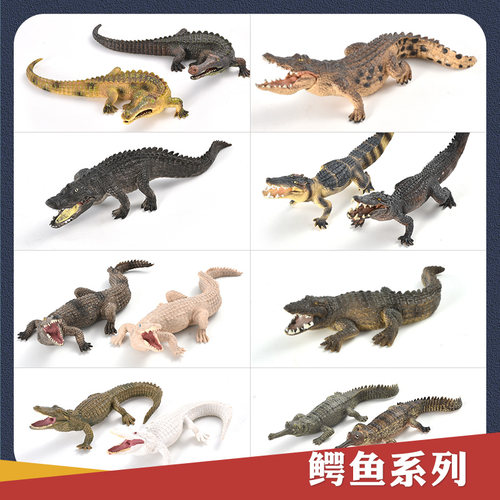 儿童仿真模型扬子鳄帝王野生动物