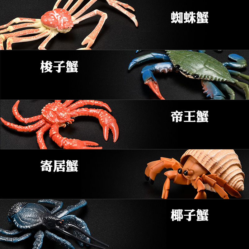 儿童仿真海洋玩具动物模型