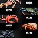 儿童仿真海洋动物玩具模型螃蟹寄居蟹帝王蟹蜘蛛蟹梭子蟹大闸蟹