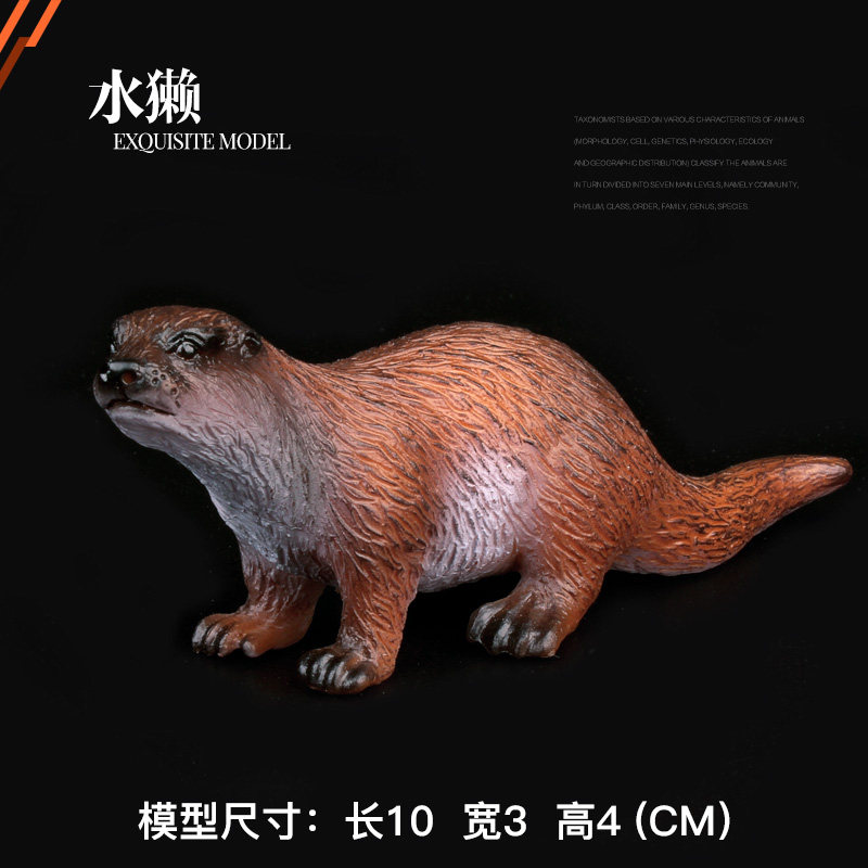 儿童仿真野生动物玩具模型獭猫鱼猫水狗河獭水猴水獭水濑海獭玩具