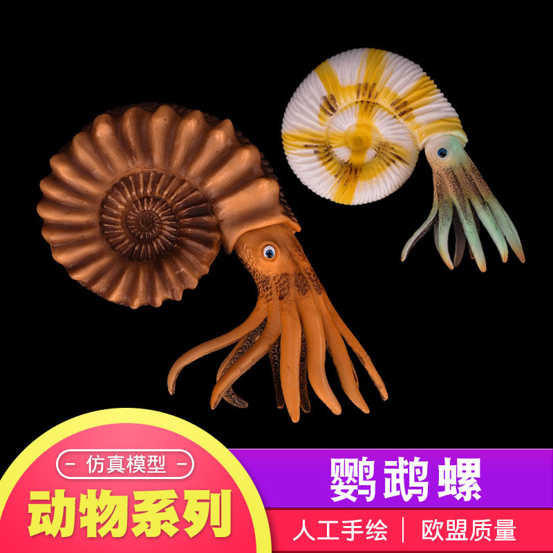 儿童生日礼物仿真海洋海底生物玩具动物模型海螺田螺鹦鹉螺肋菊石