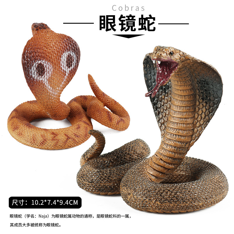 儿童礼物仿真野生动物玩具模型蝰蛇锦蛇银环蛇响尾蛇蟒蛇眼镜蛇