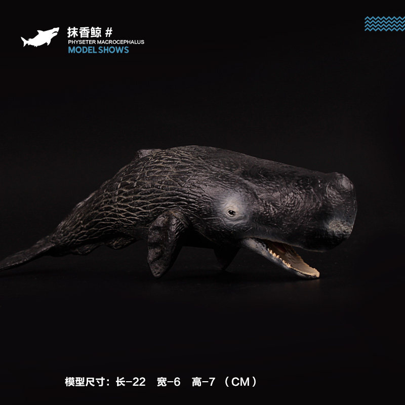 儿童玩具模型海洋海底生物鲨鱼大白鲨虎鲸白鲸巨齿鲨抹香鲸模型