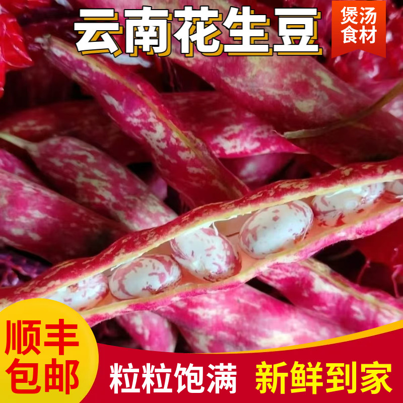（顺丰）云南特产花生豆雀蛋豆新鲜奶芸豆带壳新鲜采摘新鲜蔬菜,水产肉类/新鲜蔬果/熟食,新鲜豆类,淘宝优惠券,粉丝福利购,淘宝优惠卷