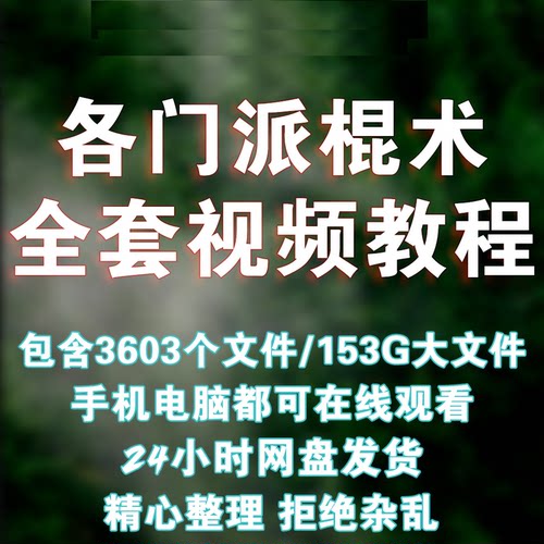 短棍教学棍术视频教程少林棍双节棍短棍甩棍鞭杆疯魔棍长棍合集