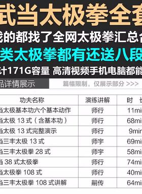 武当太极拳13式28式38式武当三丰108式合集视频教程自学课程