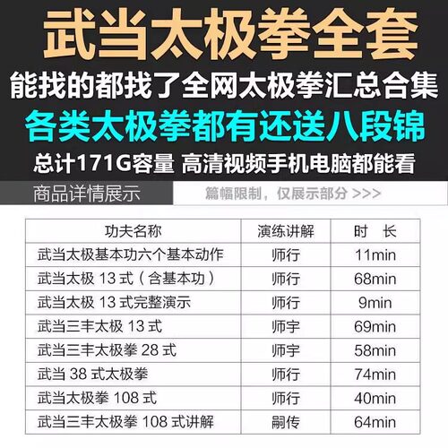 武当太极拳13式28式38式武当三丰108式合集视频教程自学课程
