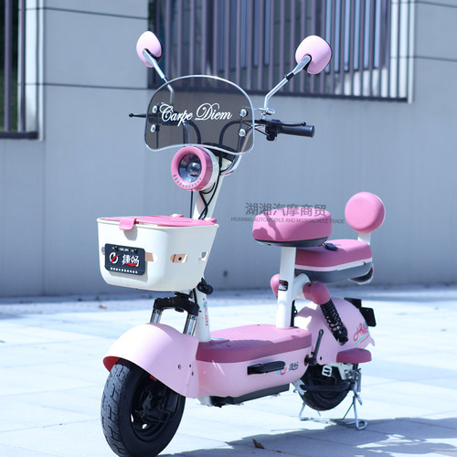 电动车电瓶车通用复古装饰挡风板