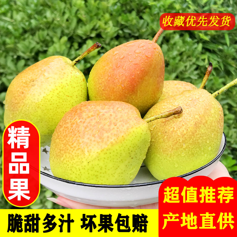 山西红香酥梨新鲜水果当季香梨