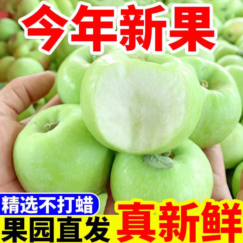 25年头茬青苹果新鲜应季孕妇水果脆甜酸甜小富士绿平果嘎啦整箱