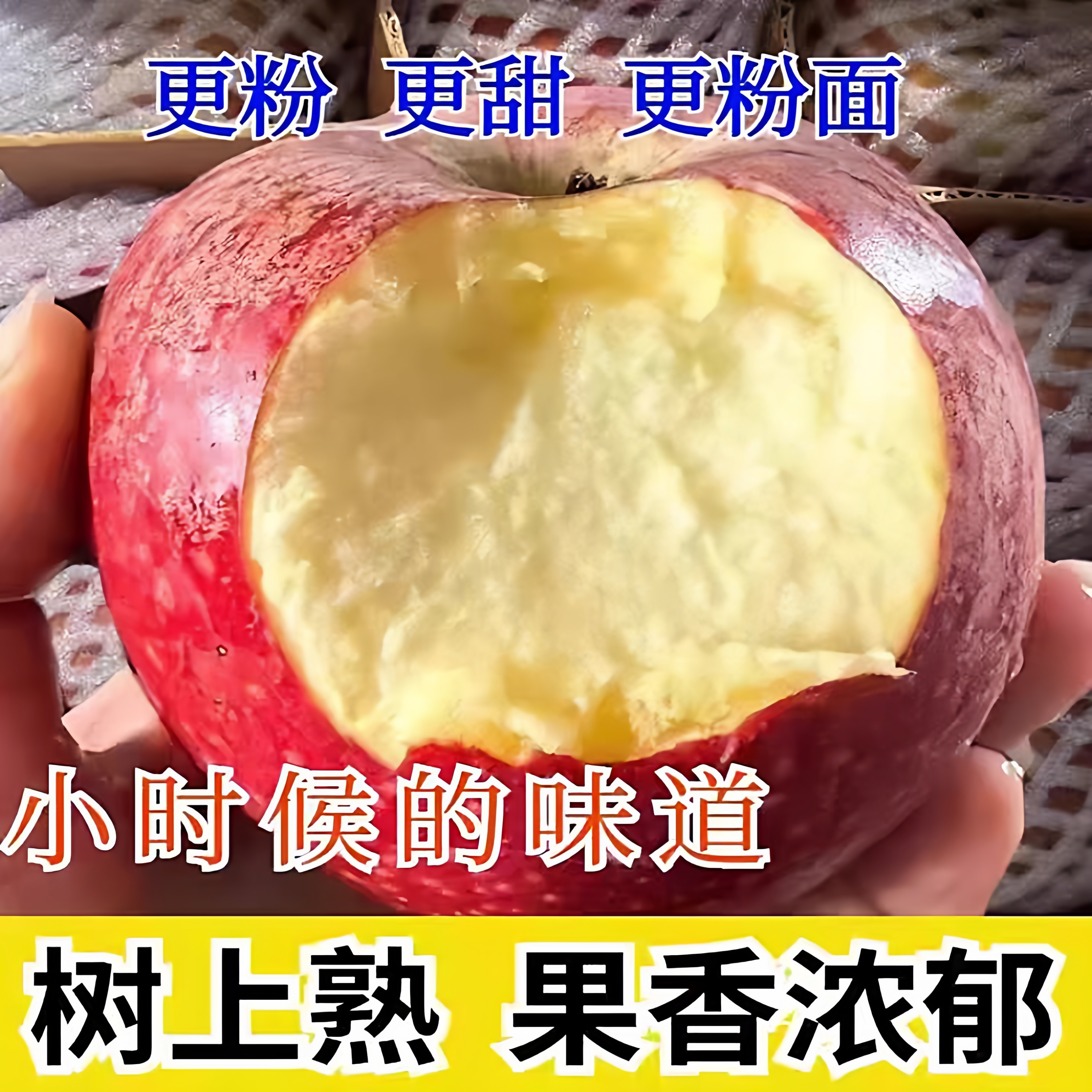 头茬秦冠粉面沙甜苹果新鲜秦冠苹果婴儿老人孕妇刮果泥辅食吃包邮