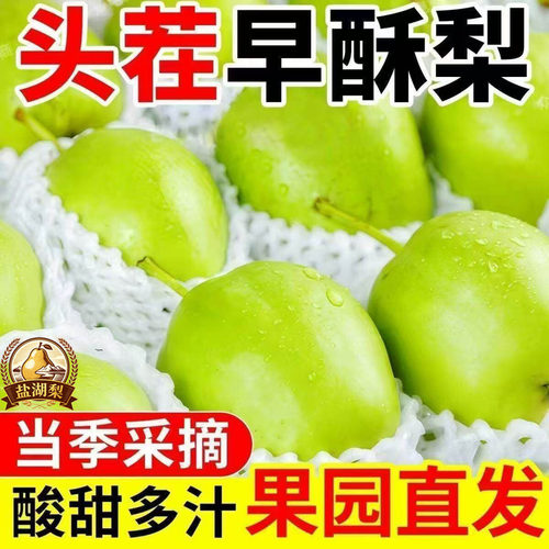 新鲜早酥梨酥脆爽口新鲜水果梨子