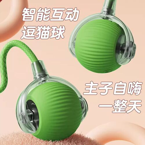 跨境自动逗猫玩具球充电变速智能遛猫球自嗨解闷猫狗玩具宠物用品