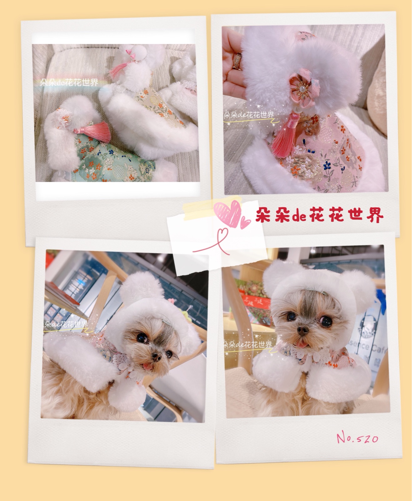 宠物猫狗泰迪约克夏小马