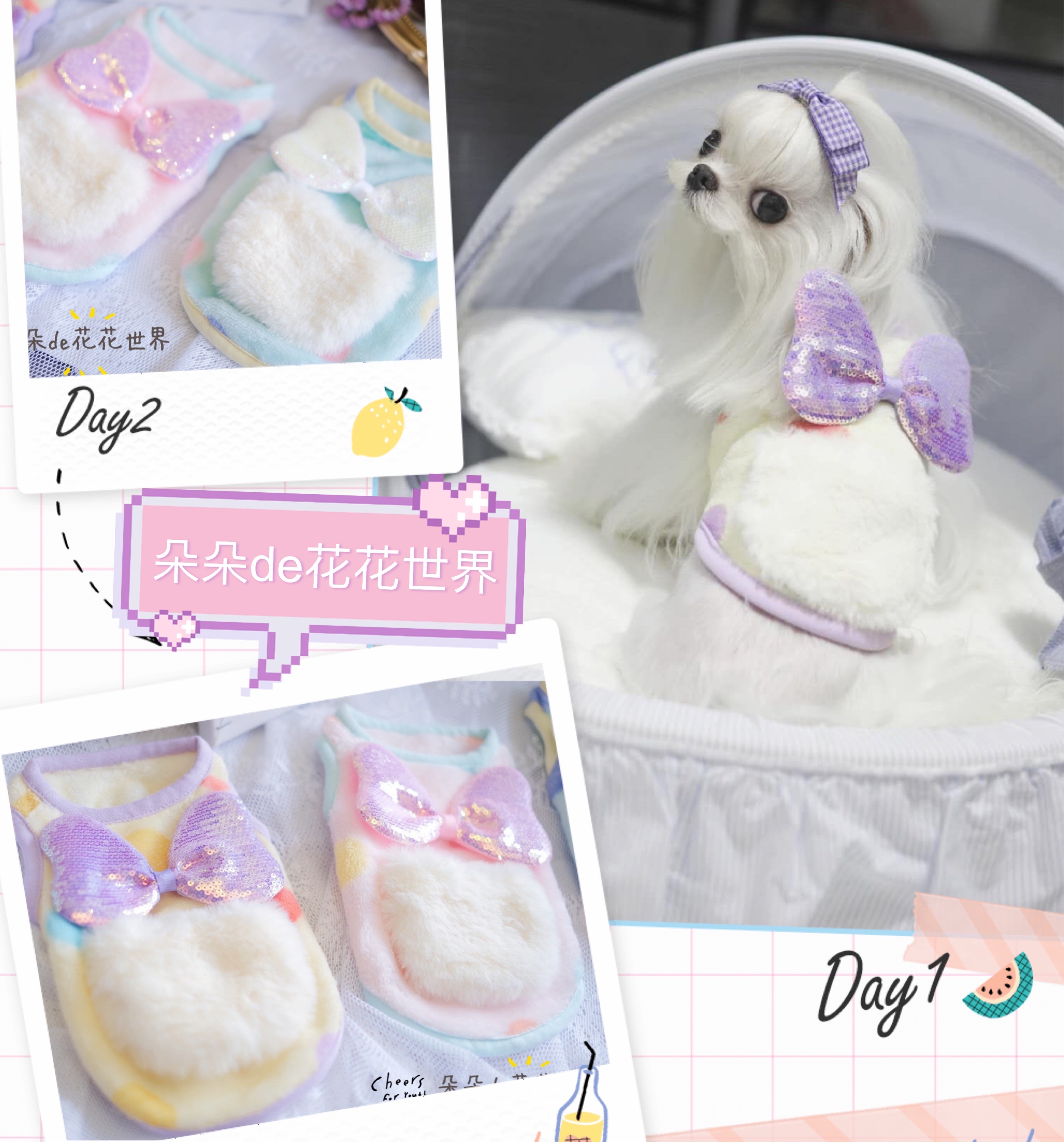 秋冬背心秋冬约克夏小马家居背心