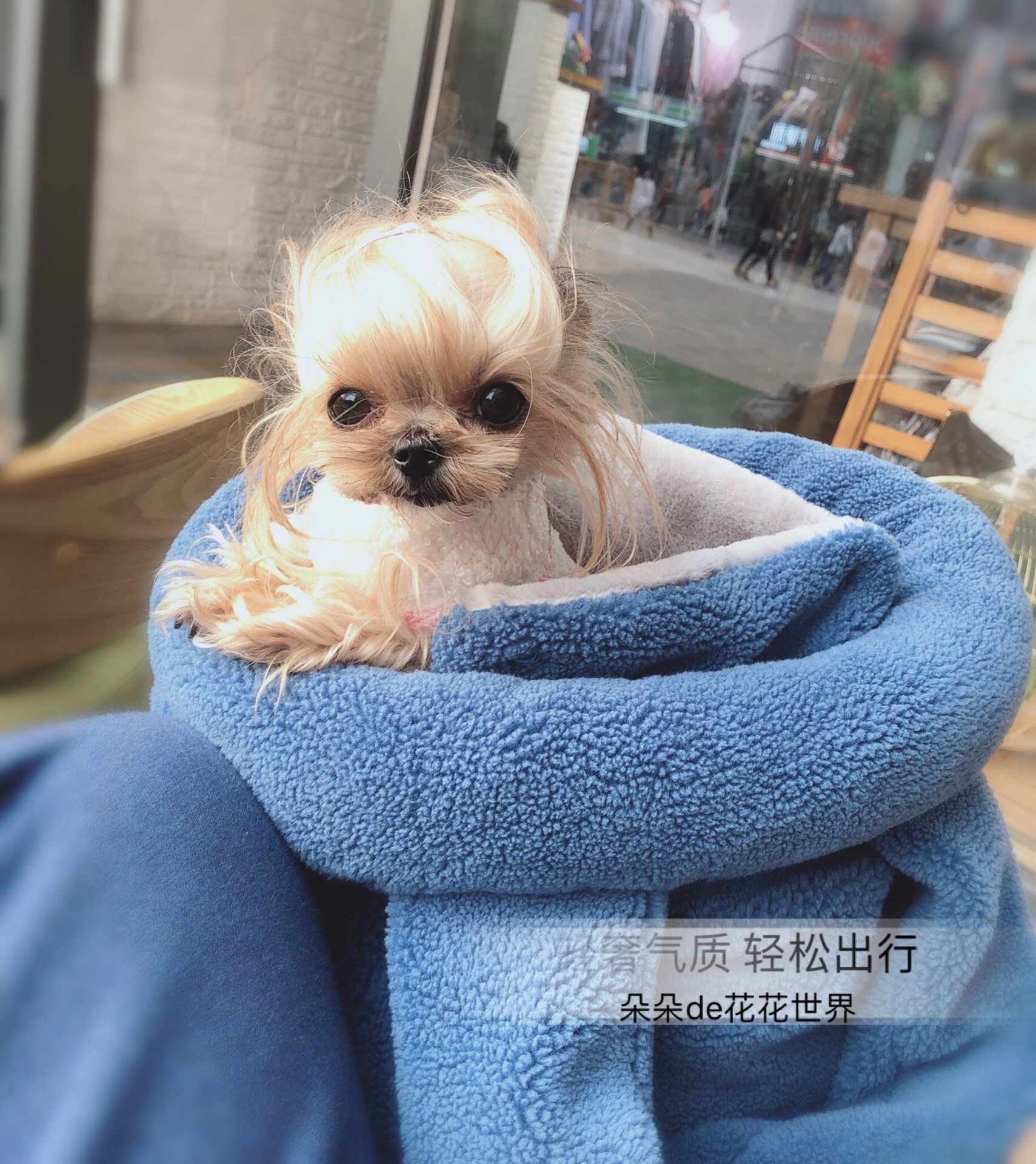 JR【加厚羊剪绒】宠物猫狗茶杯泰迪约克夏手提包保暖外出包便携包,宠物/宠物食品及用品,背包/箱包,淘宝优惠券,粉丝福利购,淘宝优惠卷