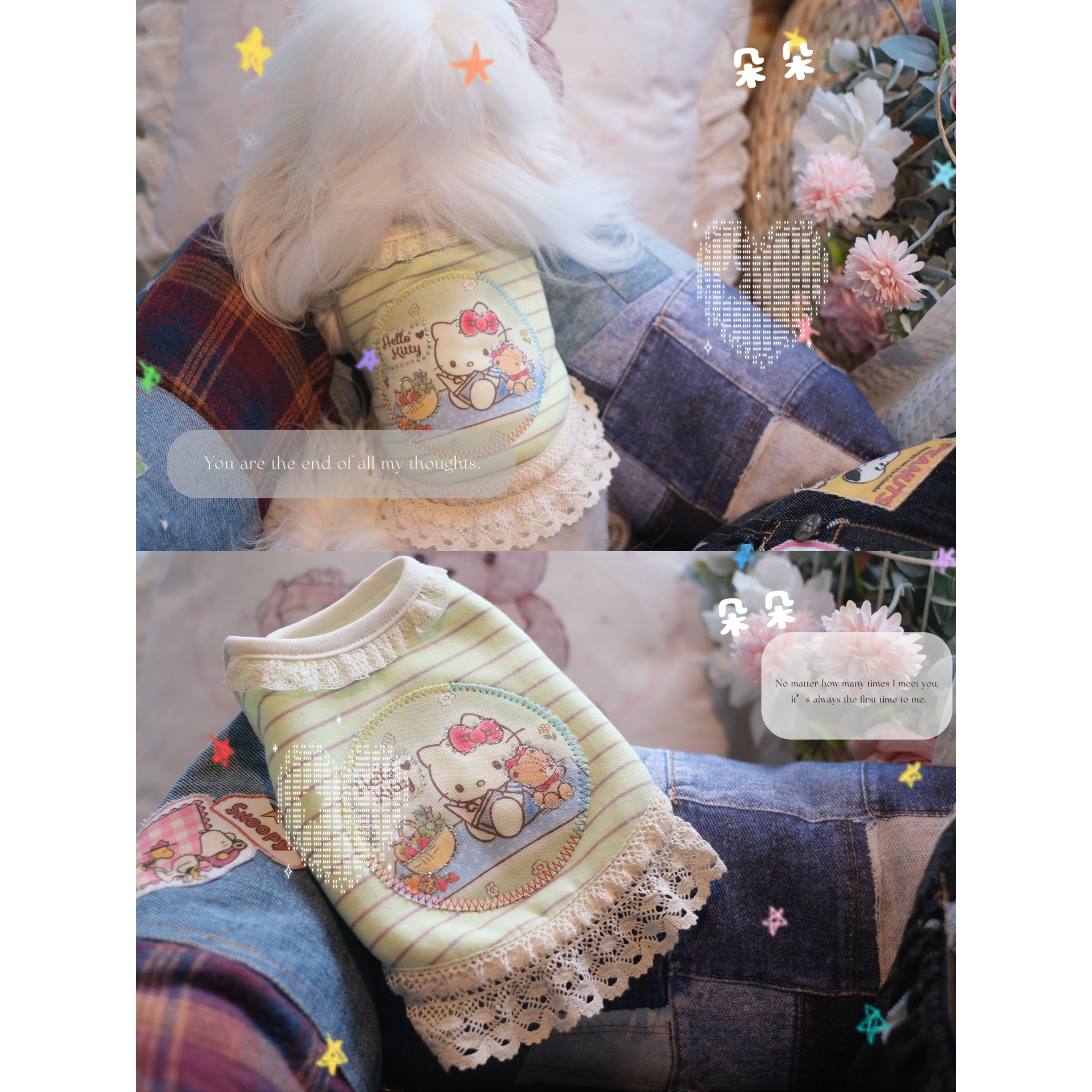 2025新款秋冬宠物猫狗衣服小型犬泰迪约克夏小马加绒侧开扣家居服