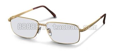 眼镜架RODENSTOCKR2106