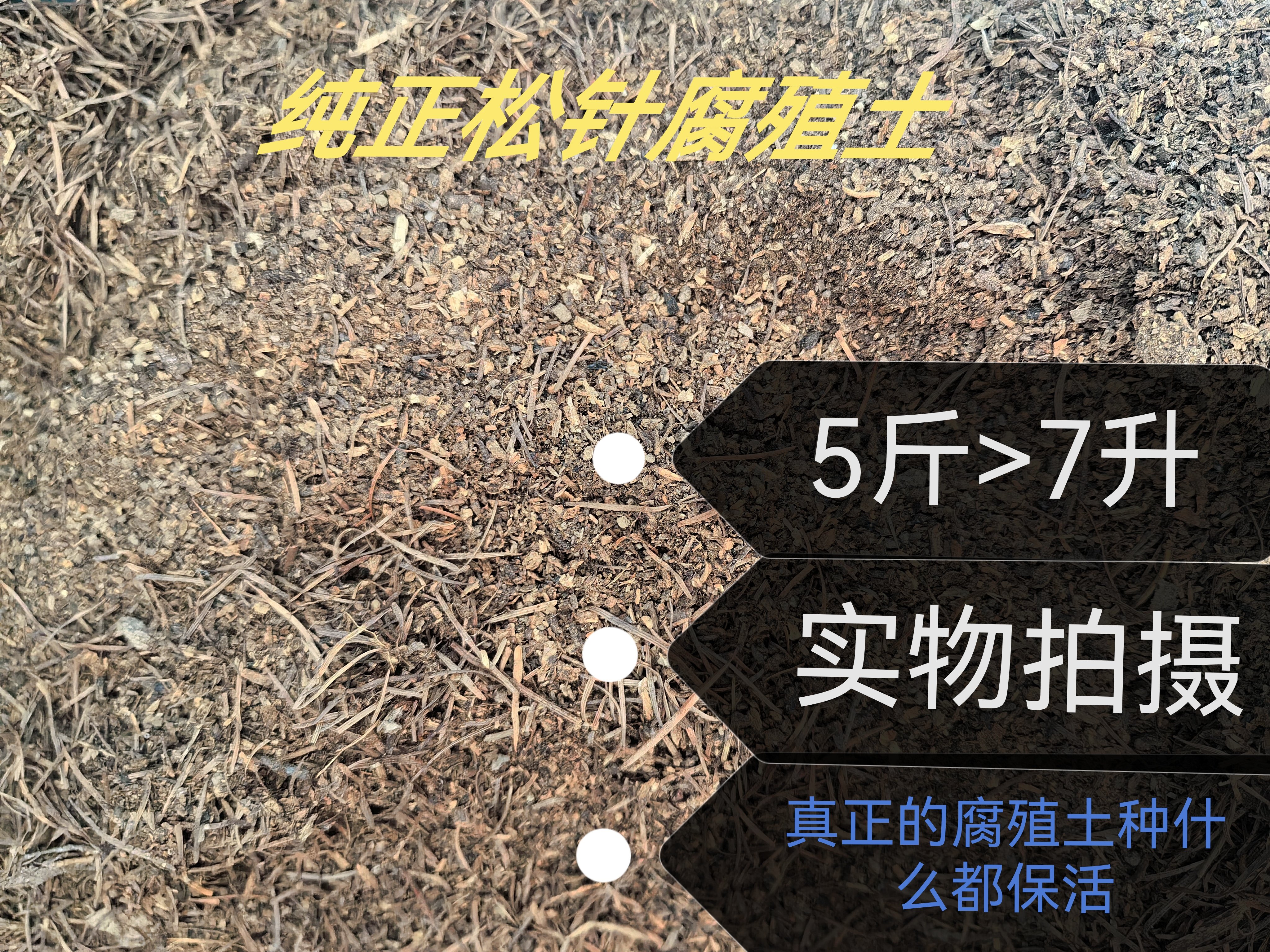 松针腐殖土花土腐叶土扦插土育苗土果蔬种植用土土壤改良腐殖质