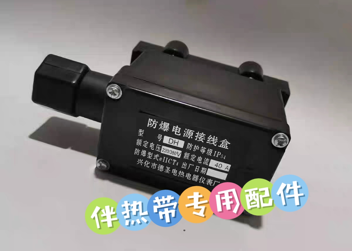 电伴热带专用防爆电源接线盒DH 伴热带配件 防爆电源盒IP54
