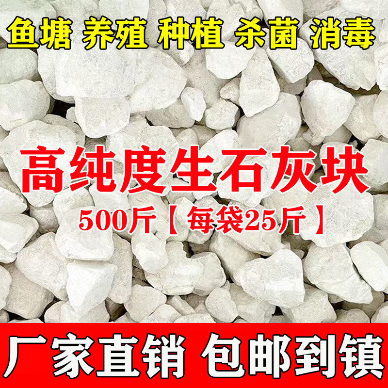 500斤生石灰块农用刷树土