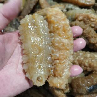 冷冻半成品黄玉海参即食水发小黄玉参泡发黄金参干货商用2份包邮