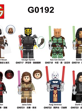 GO积木塑料5拼装人仔玩具模型MOC