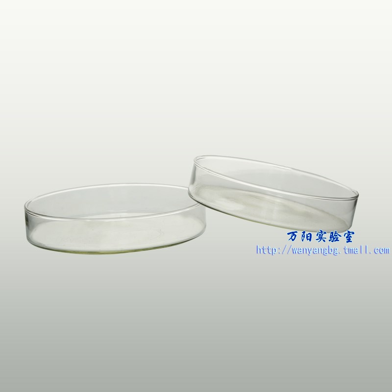 底和盖1套 耐高温玻璃培养皿