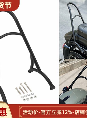 适配哈雷XL883 1200 X48 新款Burly改装后靠背 后弓背 专用后靠背