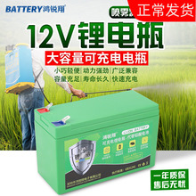 12v8ah高压电动喷雾器12照明锂电池1