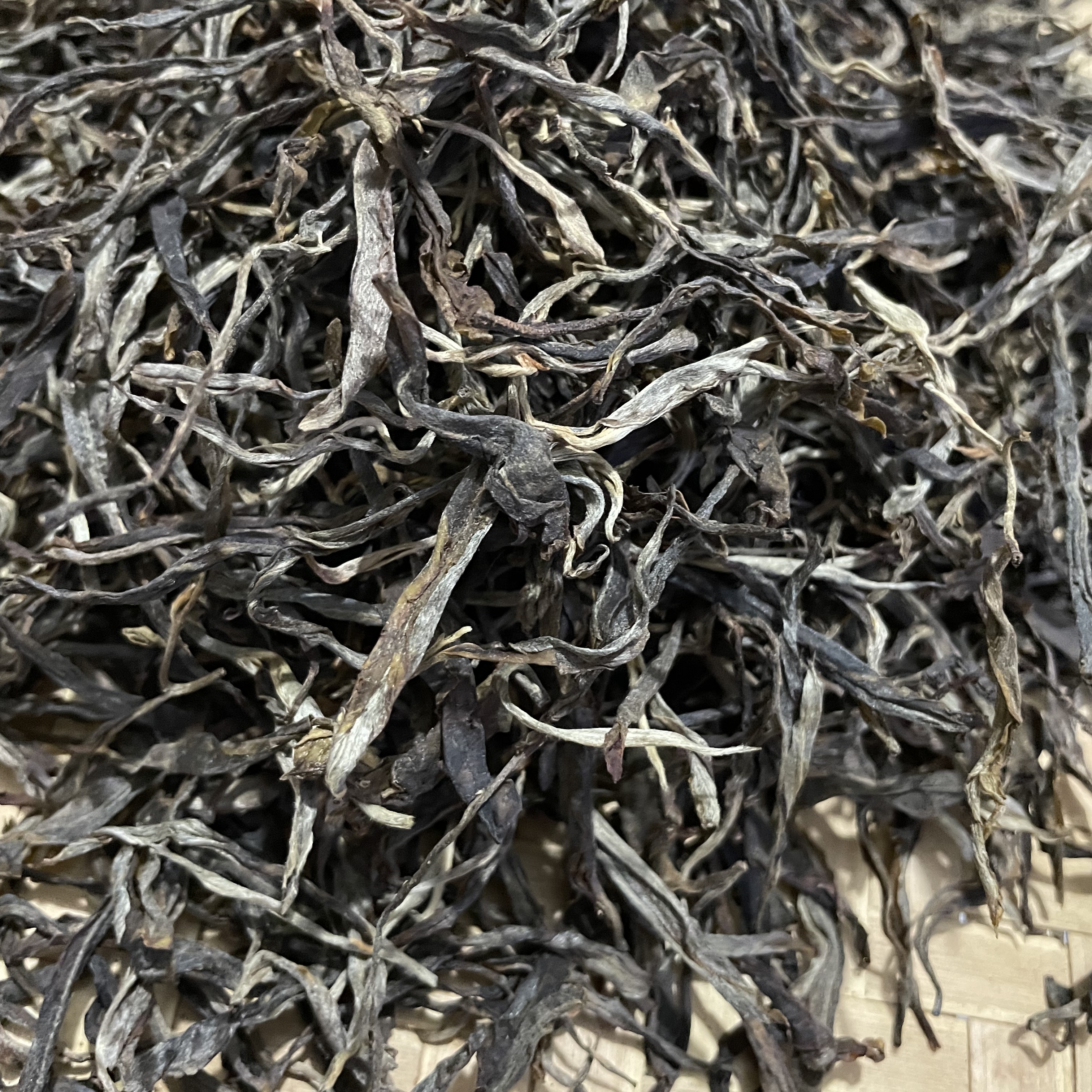 云南普洱茶2023年拔马古树混采春茶500克装