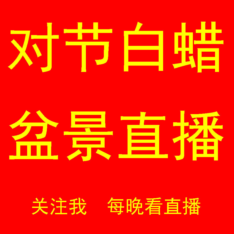【直播专用】对节白蜡盆景对接白造型盆景