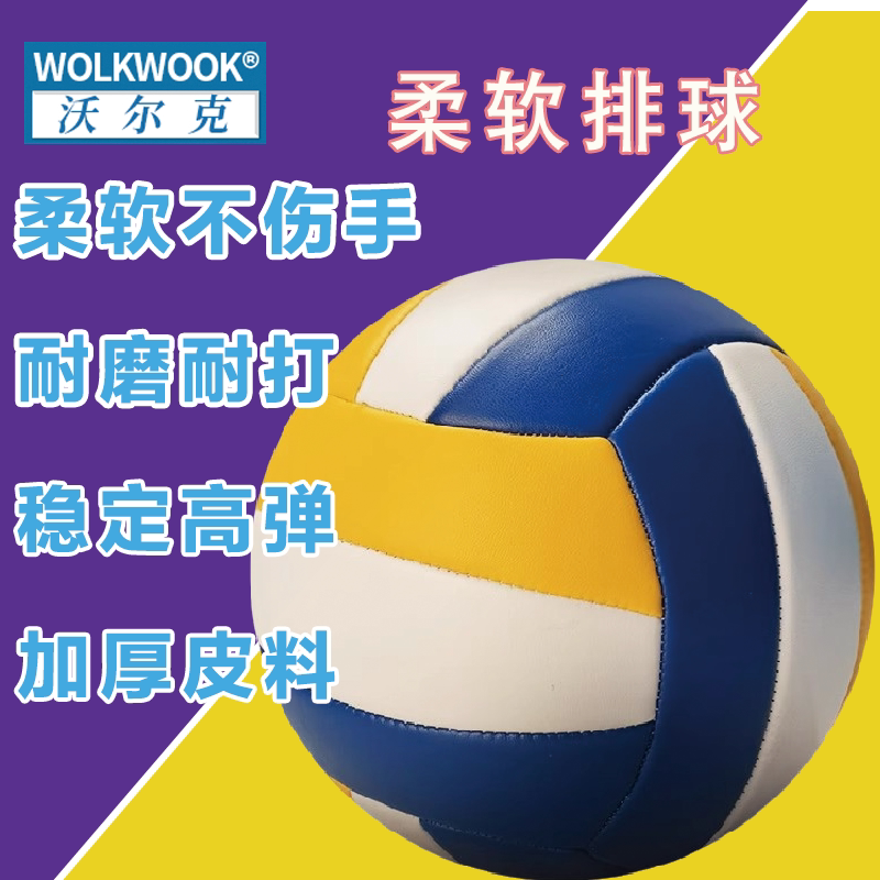 排球中考专用标准5号初中小学生