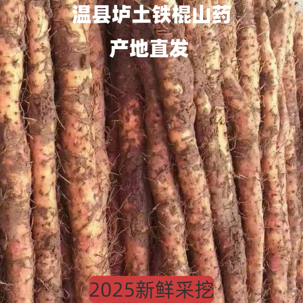 河南温县垆土地铁棍山药5斤现挖粉糯健脾养胃食材带土新鲜淮山药