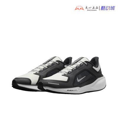 耐克 NIKE PEGASUS 41 GORE-TEX 飞马41代缓震跑步鞋 FQ1356-002