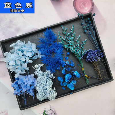 蓝色系永生花植物大全干花DIY材料绣球千层金尤加利叶伴手礼装饰