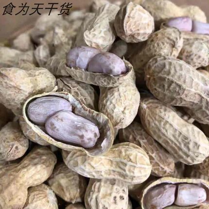 莆田农家白晒水煮花生满5斤包邮带壳白晒水煮花生量大从优