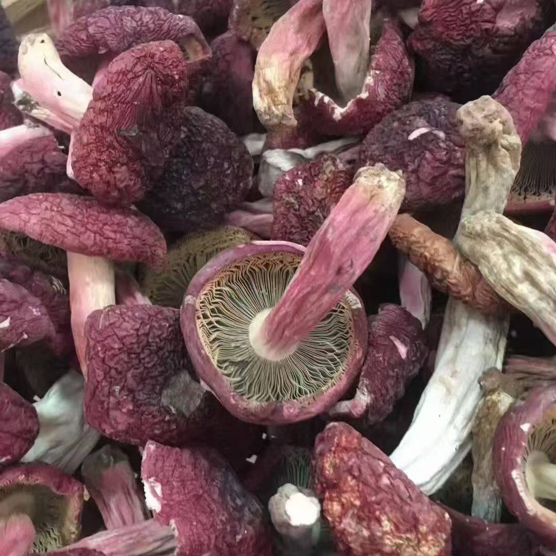 福建三明野生小红菇干货500g正宗蓝底红菌菇月子小红菇红蘑菇