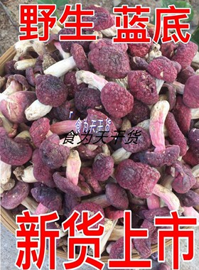 新货武夷山野生小红菇正宗福建特产红椎菌干货红蘑菇小菇蕾