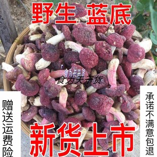 新货武夷山野生小红菇正宗福建特产红椎菌干货红蘑菇小菇蕾