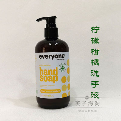 Everyone纯植物柠檬桔温和洗手液